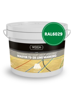 master_ts-2k_line_marking_green_2_5L_690103A-2048x2048.png